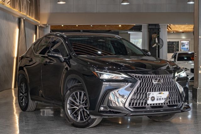 NX200精英版｜原廠保固2027｜ACC/AEB/盲點｜改電尾門｜360環景｜電子式後視鏡  第15張相片