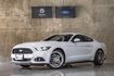 Mustang 野馬｜經典肌肉車｜少跑｜20吋輕量化鋁圈｜通風座椅  第1張縮圖