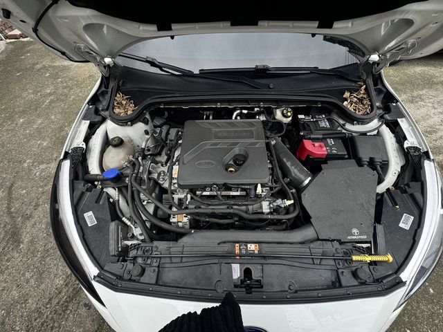 FORD福特 FOCUS ST  第10張相片