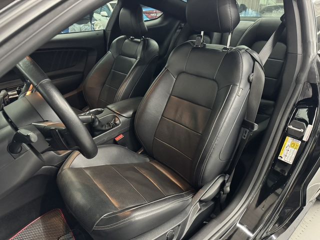 FORD福特 MUSTANG  第11張相片