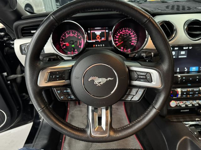 FORD福特 MUSTANG  第13張相片
