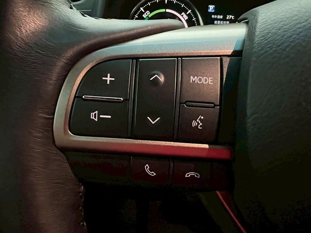 LEXUS凌志 LM300H  第19張相片