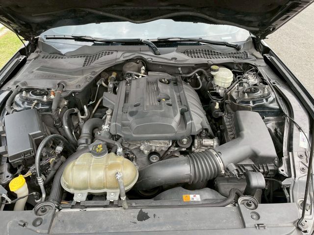 FORD福特 MUSTANG  第10張相片