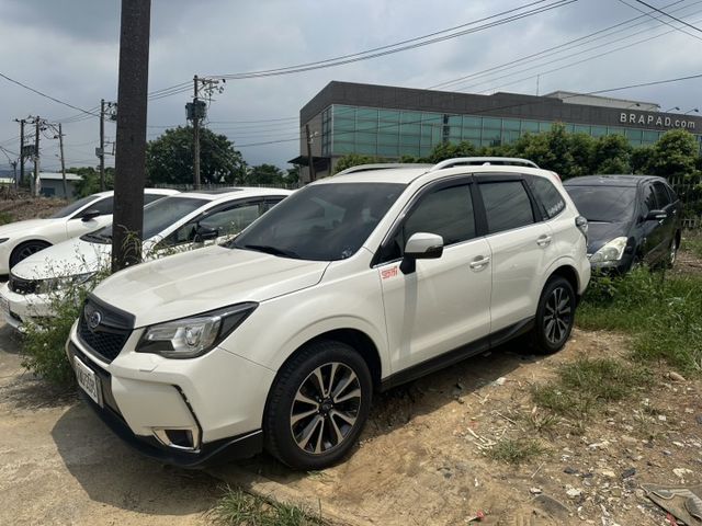 FORESTER  第1張相片
