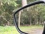 2025 FOCUS X 絕版品 ikey 跟車 盲點 LED頭燈 carplay 樣樣俱全  第15張縮圖