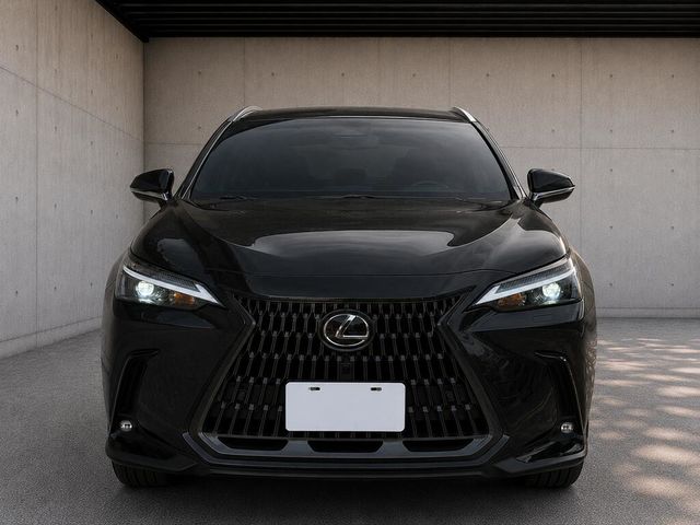 LEXUS凌志 NX200  第3張相片