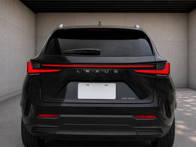 LEXUS凌志 NX200  第4張相片
