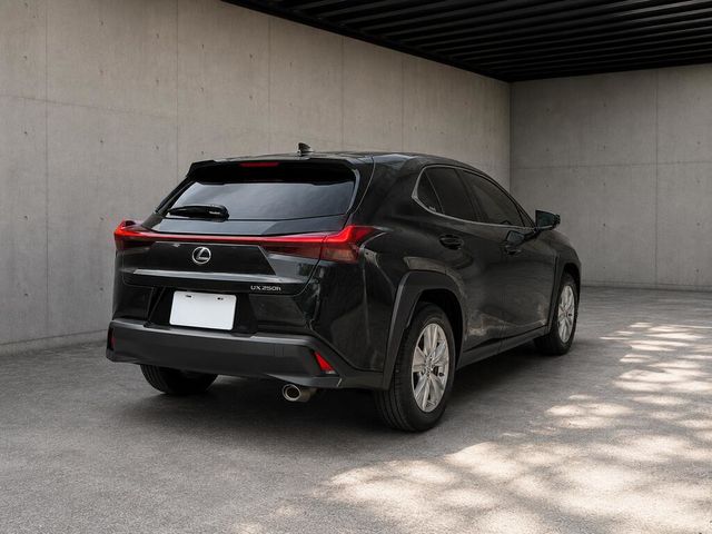 LEXUS凌志 UX250H  第2張相片