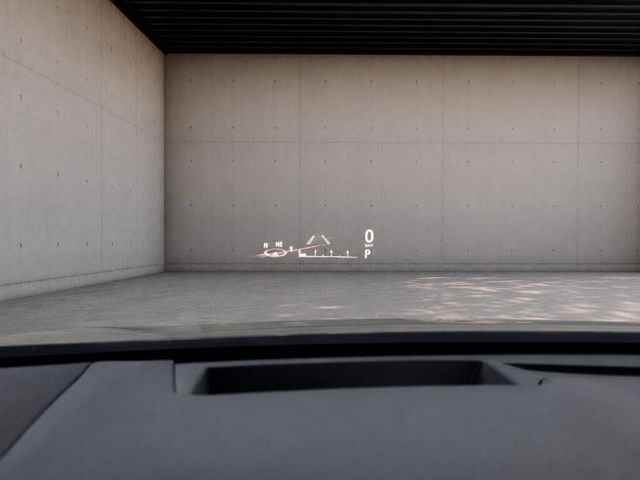 LEXUS凌志 RX300  第8張相片