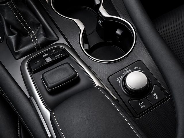 LEXUS凌志 RX300  第12張相片