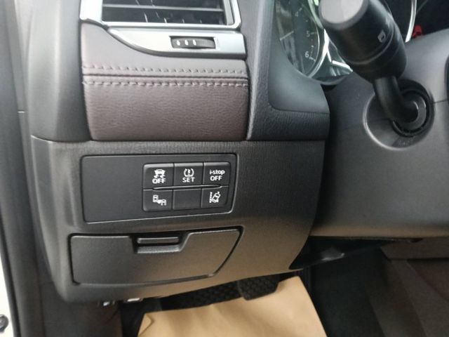 i-key、HID頭燈、定速、電動天窗、車道偏離警示  第6張相片