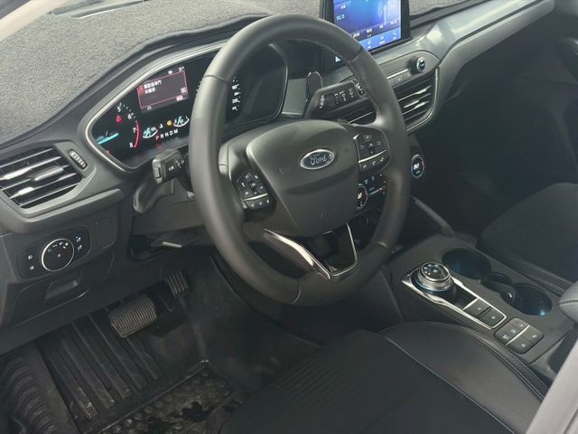 任性版  第5張相片