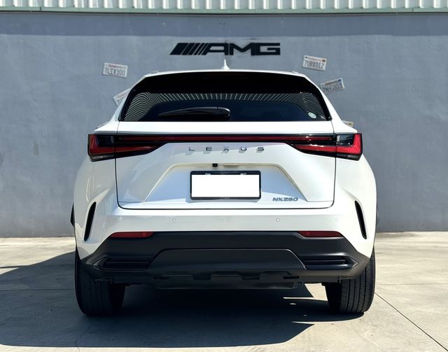 LEXUS凌志 NX250  第5張相片