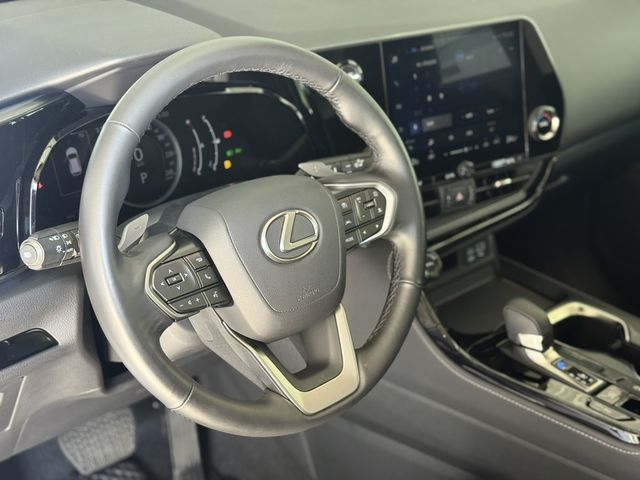 LEXUS凌志 NX250  第6張相片