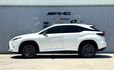 LEXUS凌志 RX300  第3張縮圖