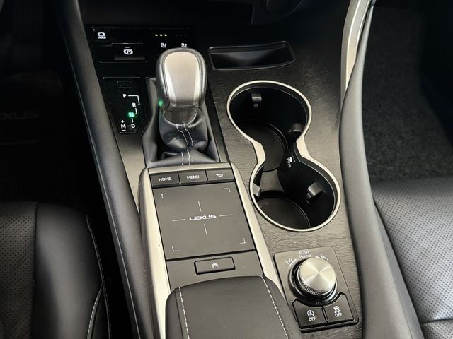 LEXUS凌志 RX300  第13張相片