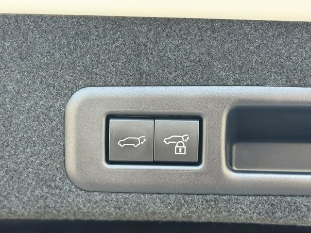 LEXUS凌志 RX300  第20張相片