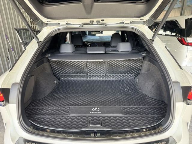 LEXUS凌志 RX350H  第16張相片