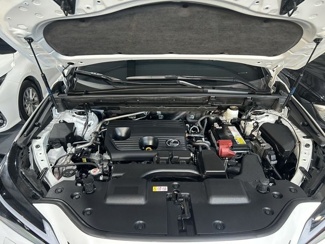 LEXUS凌志 NX200  第6張相片