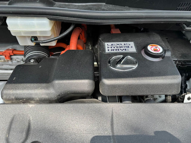 LEXUS凌志 LM300H  第20張相片