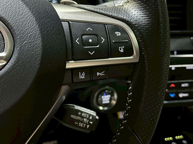LEXUS凌志 RX300  第13張相片