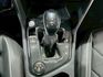 VOLKSWAGEN福斯 TIGUAN ALLSPACE  第15張縮圖