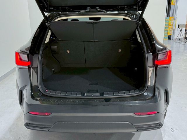 LEXUS凌志 NX200  第17張相片