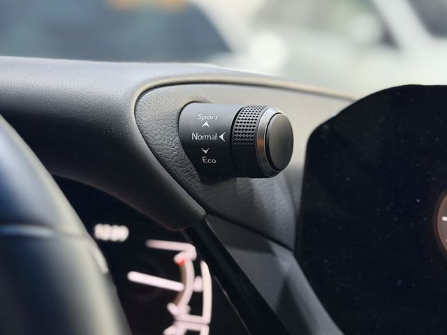 LEXUS凌志 ES300H  第17張相片