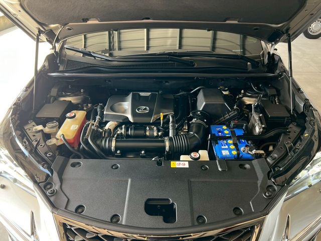 LEXUS凌志 NX300  第6張相片