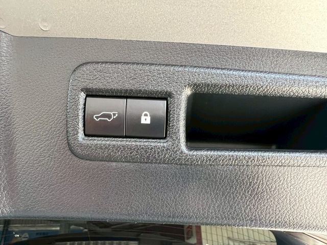 LEXUS凌志 NX300  第16張相片