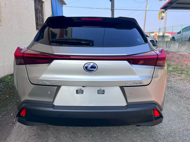 LEXUS凌志 UX250H  第4張相片