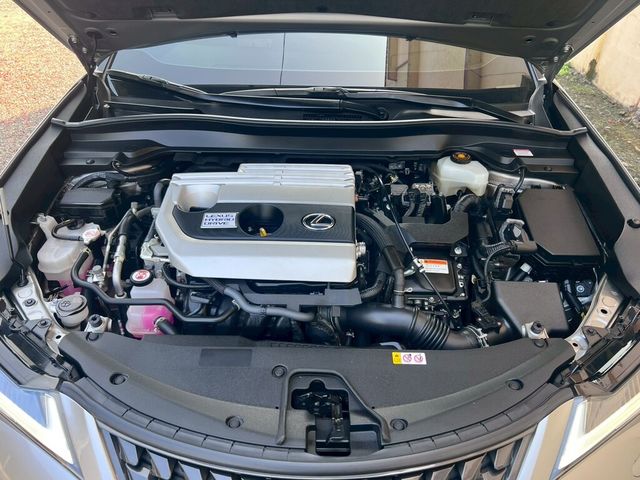 LEXUS凌志 UX250H  第6張相片