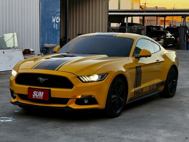 MUSTANG  第1張相片