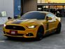 MUSTANG  第1張縮圖
