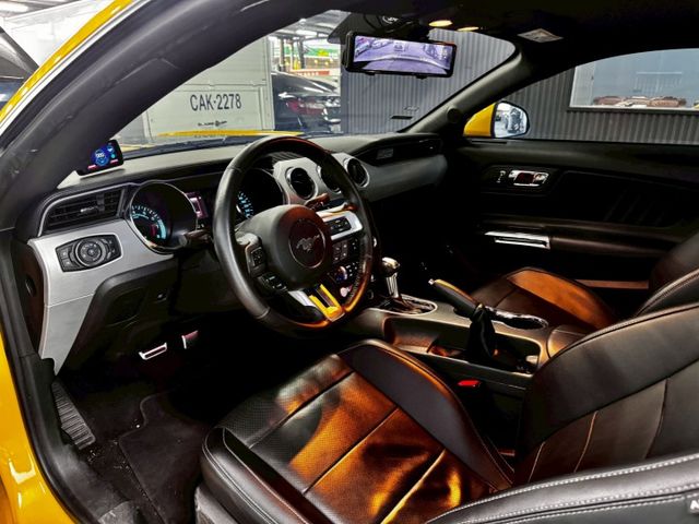 MUSTANG  第7張相片