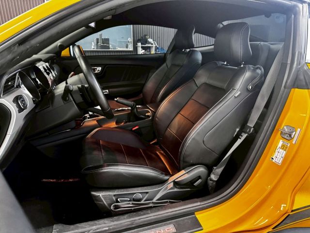 MUSTANG  第8張相片