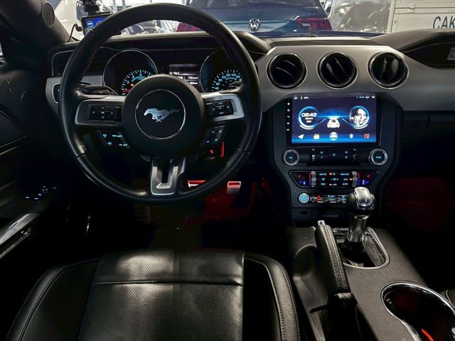 MUSTANG  第9張相片