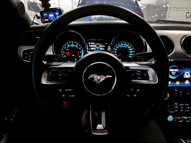 MUSTANG  第10張相片