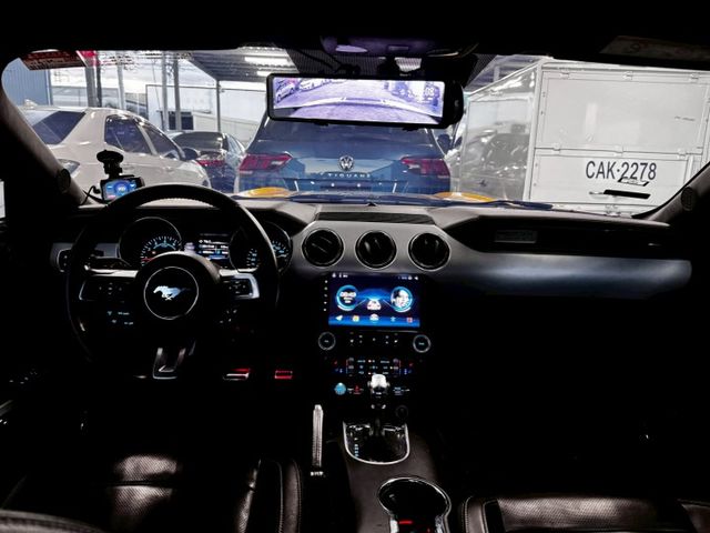 MUSTANG  第11張相片
