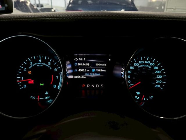 MUSTANG  第12張相片