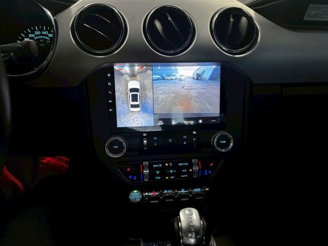 MUSTANG  第13張相片
