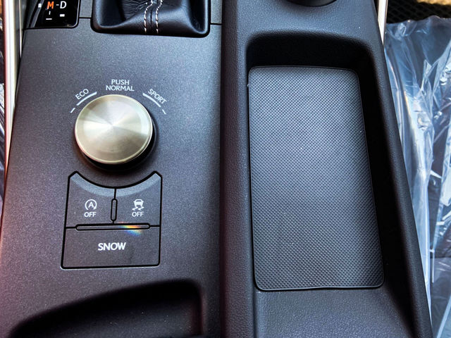 LEXUS凌志 IS 300H  第7張相片