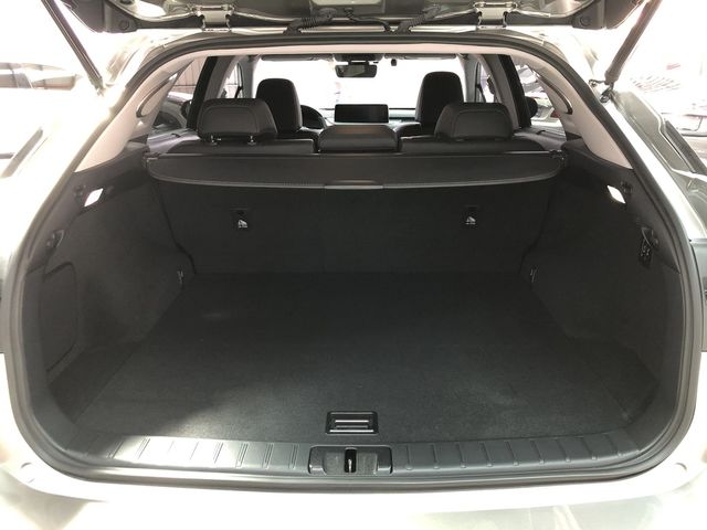 LEXUS凌志 RX300  第13張相片