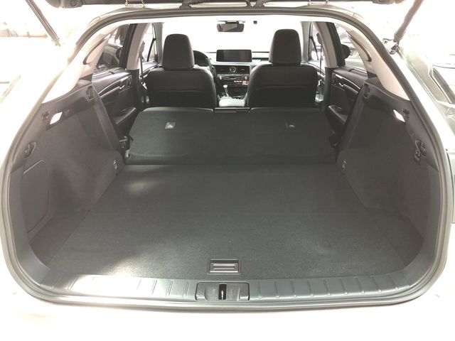 LEXUS凌志 RX300  第14張相片
