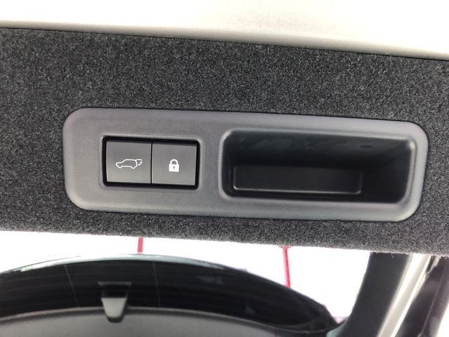 LEXUS凌志 RX300  第19張相片