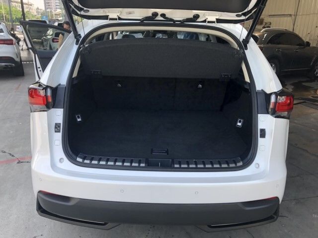 LEXUS凌志 NX300H  第8張相片