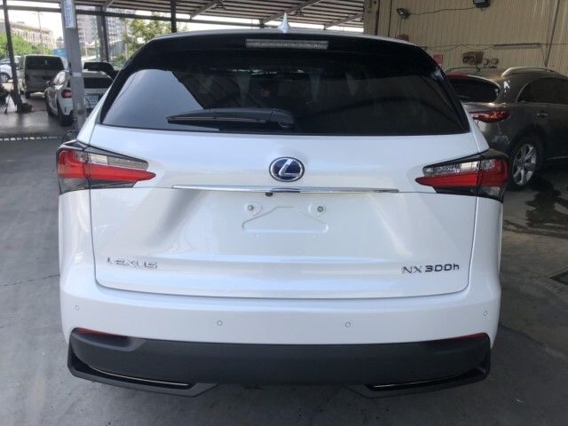 LEXUS凌志 NX300H  第10張相片