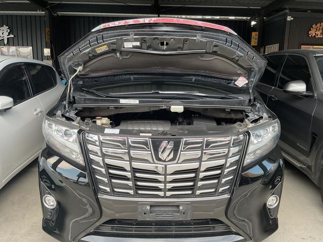 TOYOTA豐田 ALPHARD  第6張相片