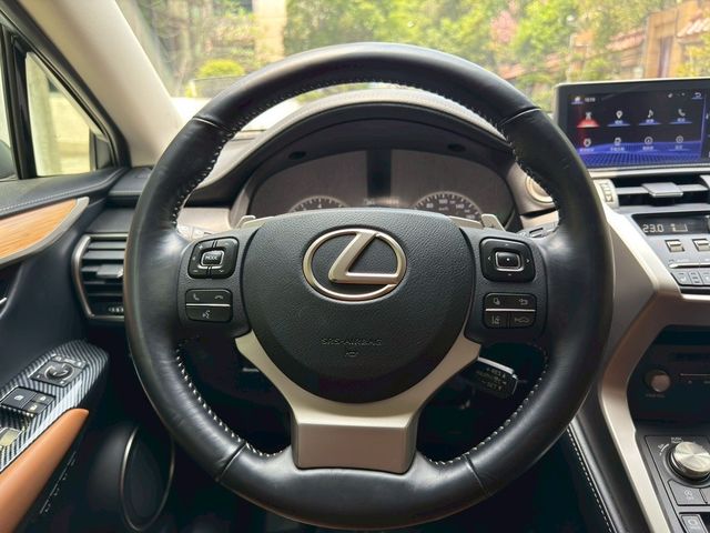 LEXUS凌志 NX300  第7張相片