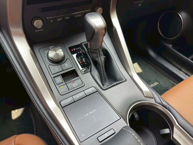 LEXUS凌志 NX300  第10張相片